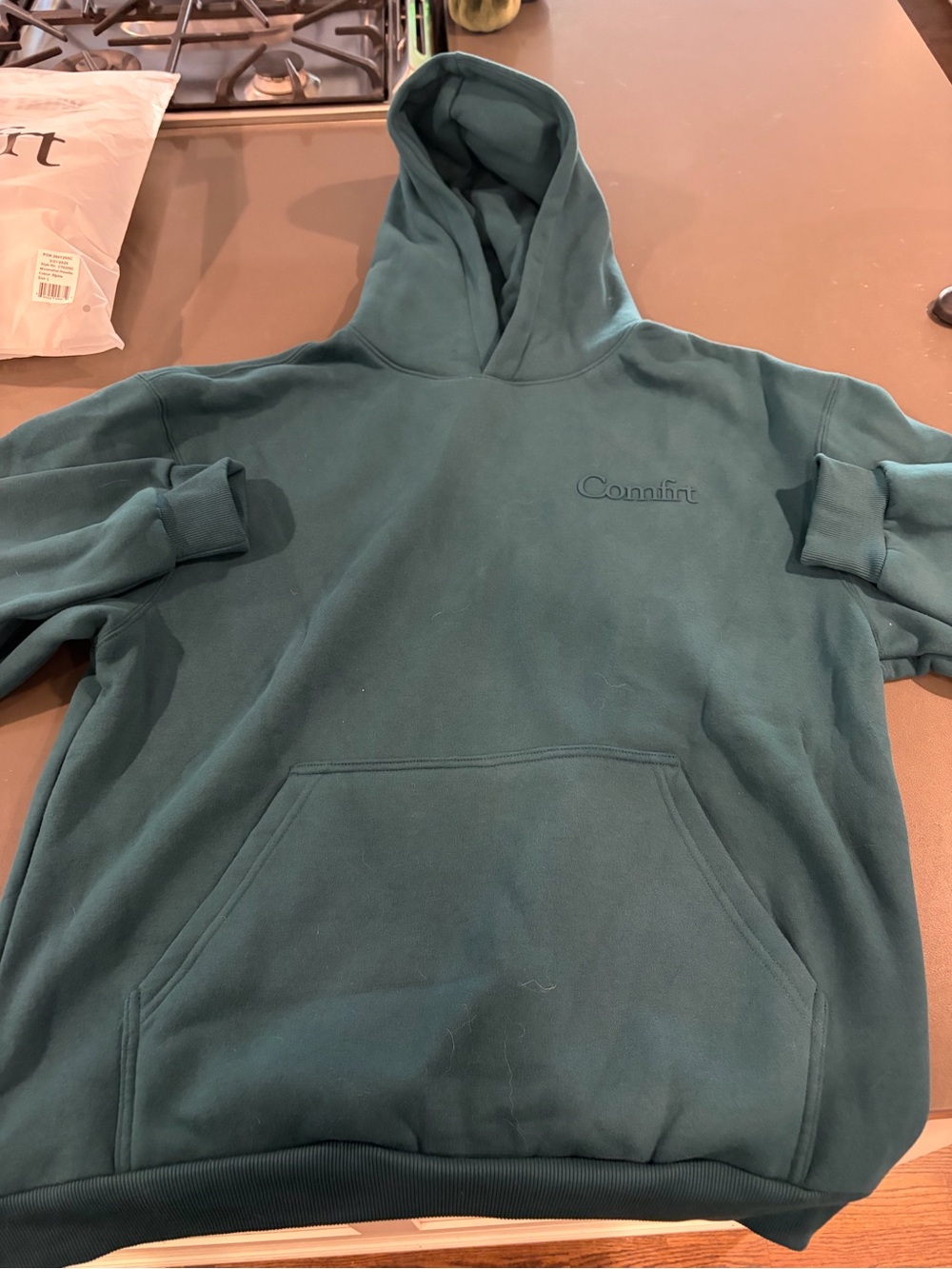 Comfrt Minimalist Hooded Sweatshirt Alpine color
